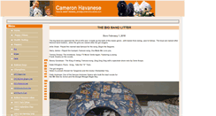Desktop Screenshot of cameronhavanese.com