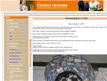 Tablet Screenshot of cameronhavanese.com